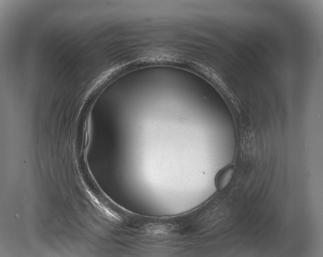 X0000080110629200612151647