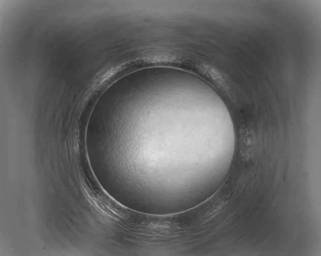 X0000080110631200612151647