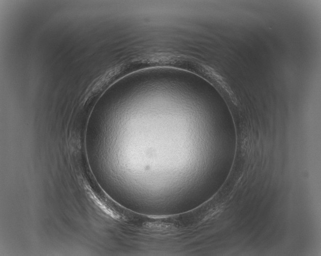 X0000080110633200612151648