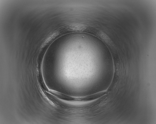 X0000080110634200612151648