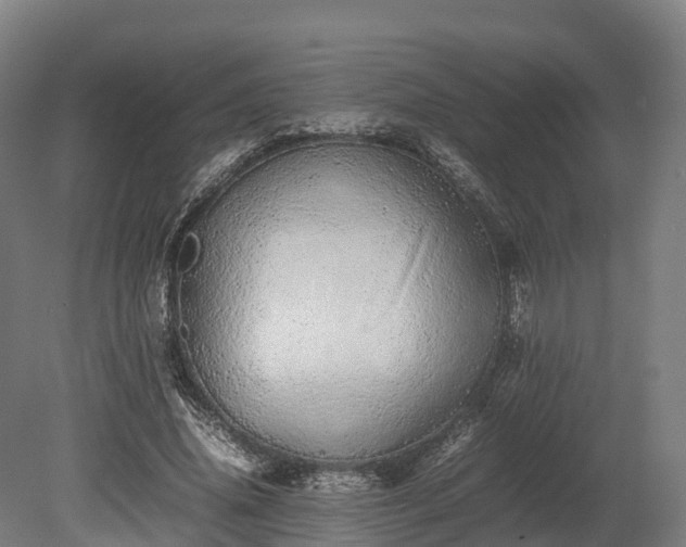 X0000080110636200612151648