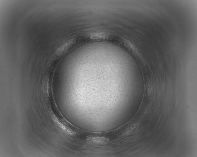 X0000080110637200612151648