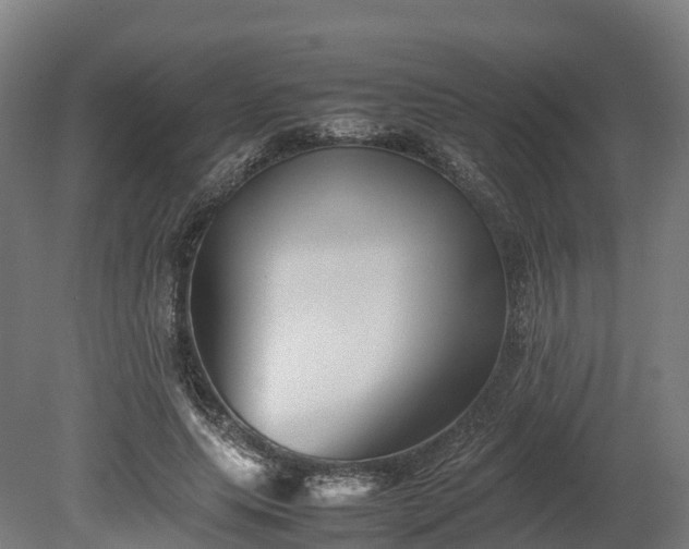 X0000080110639200612151648