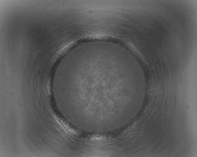X0000080110640200612151648