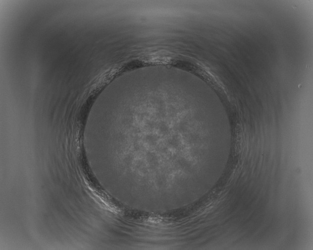 X0000080110641200612151648