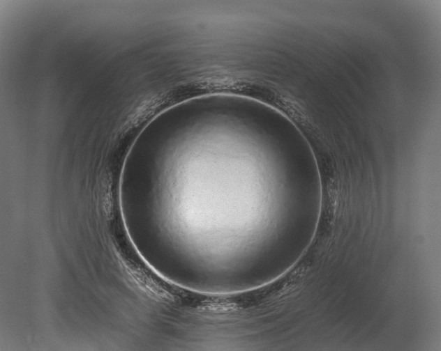 X0000080110642200612151648
