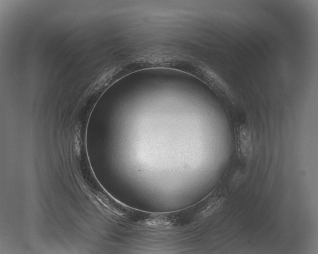 X0000080110644200612151648