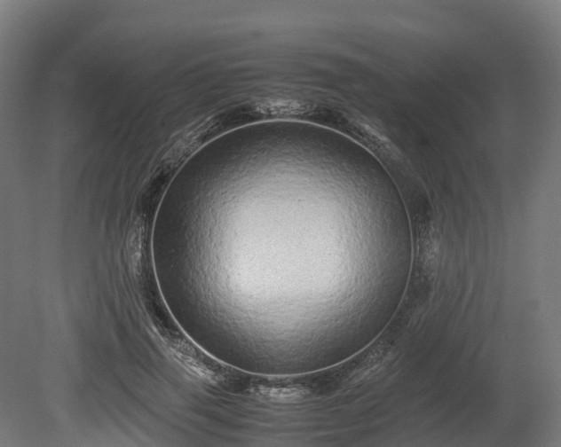 X0000080110645200612151648