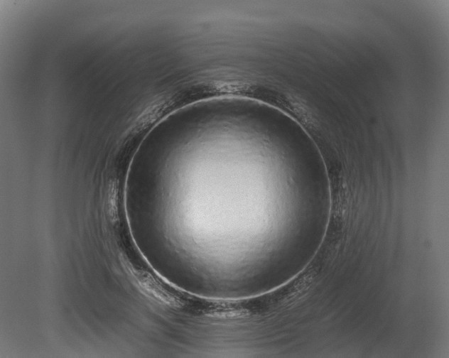 X0000080110646200612151648