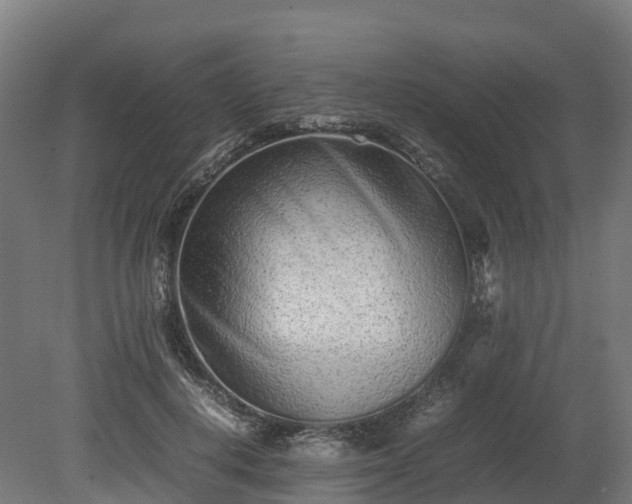 X0000080110648200612151648