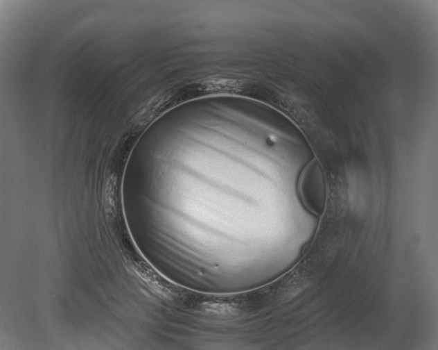 X0000080110649200612151648