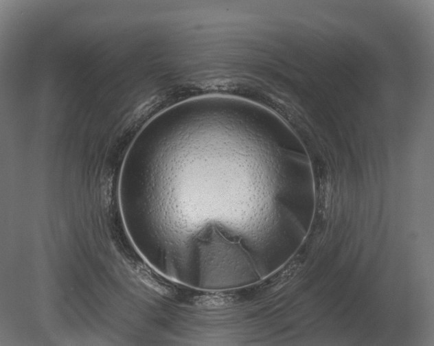 X0000080110652200612151648