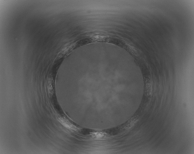 X0000080110654200612151648