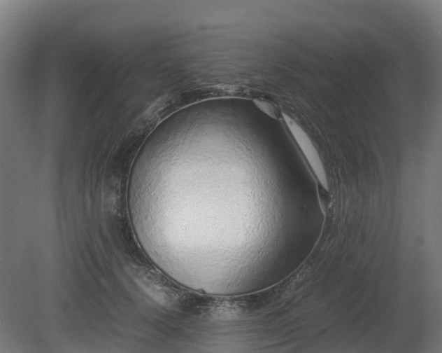 X0000080110656200612151648