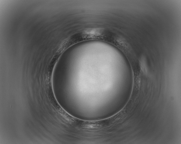 X0000080110657200612151648