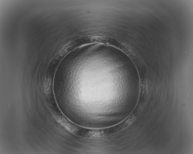 X0000080110660200612151648