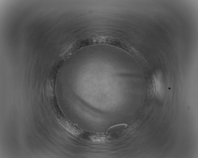X0000080110661200612151648