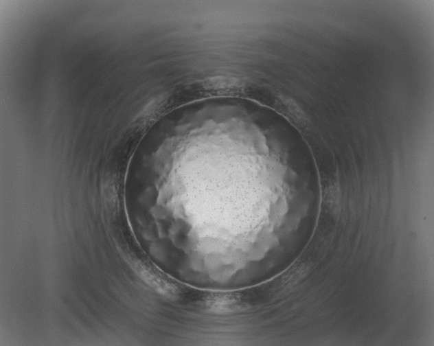 X0000080110662200612151648