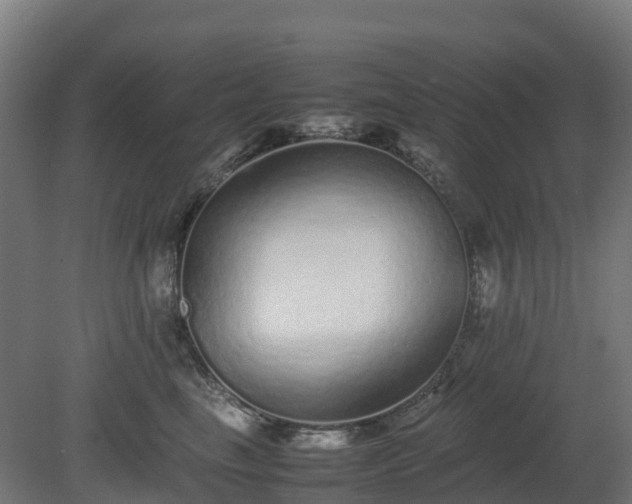 X0000080110665200612151648