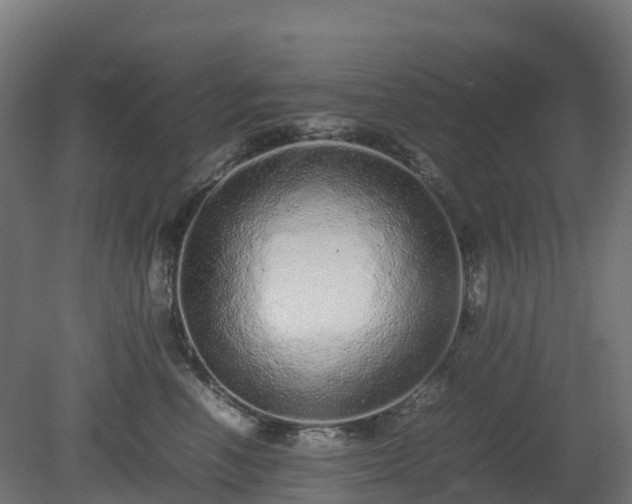 X0000080110666200612151648