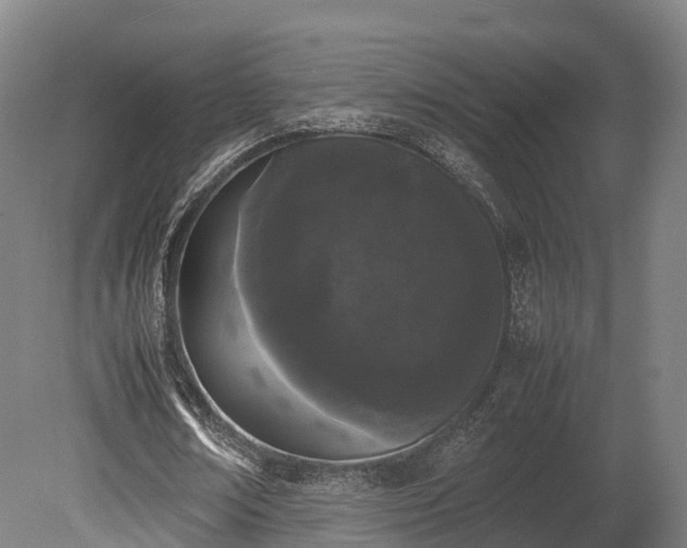 X0000080110674200612151647