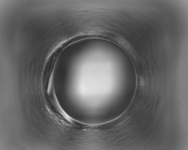 X0000080110676200612151647