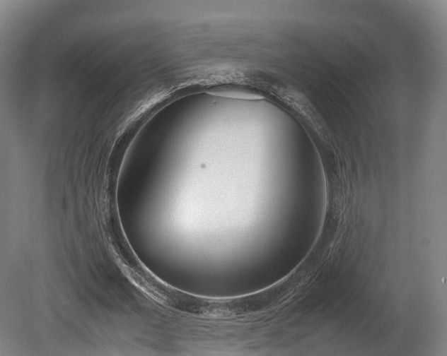 X0000080110677200612151647