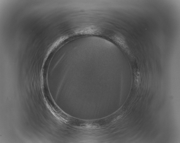X0000080110678200612151647