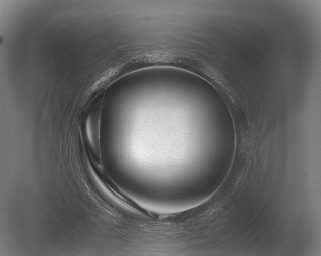 X0000080110681200612151647