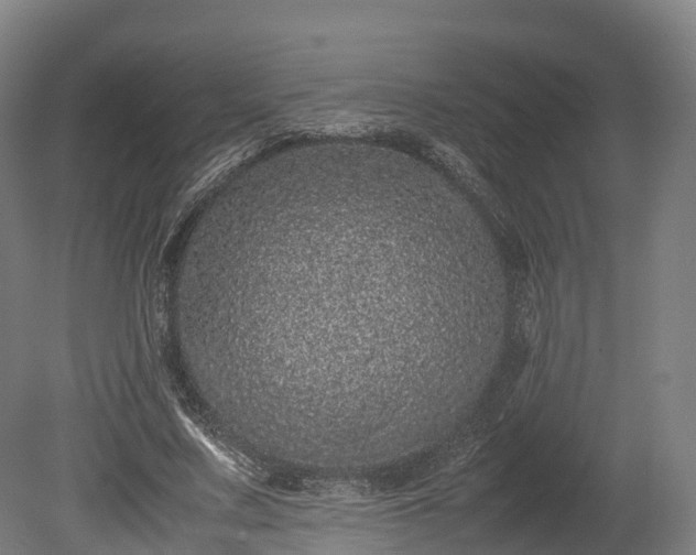 X0000080110683200612151647