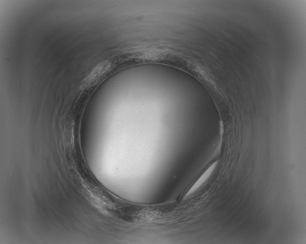 X0000080110685200612151647