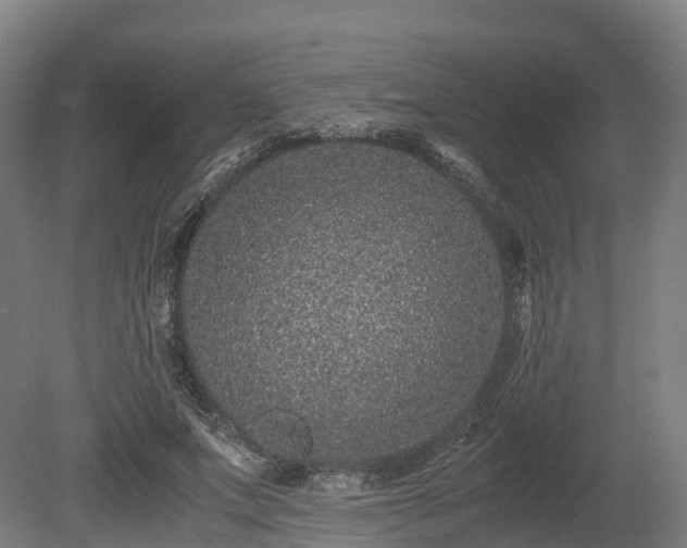 X0000080110687200612151647