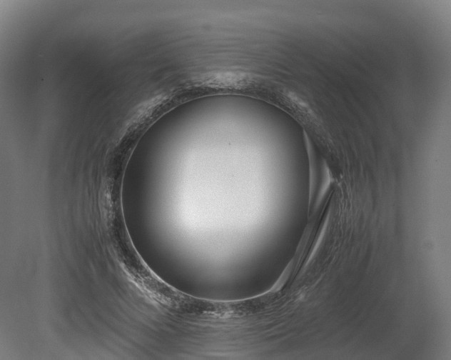 X0000080110688200612151647