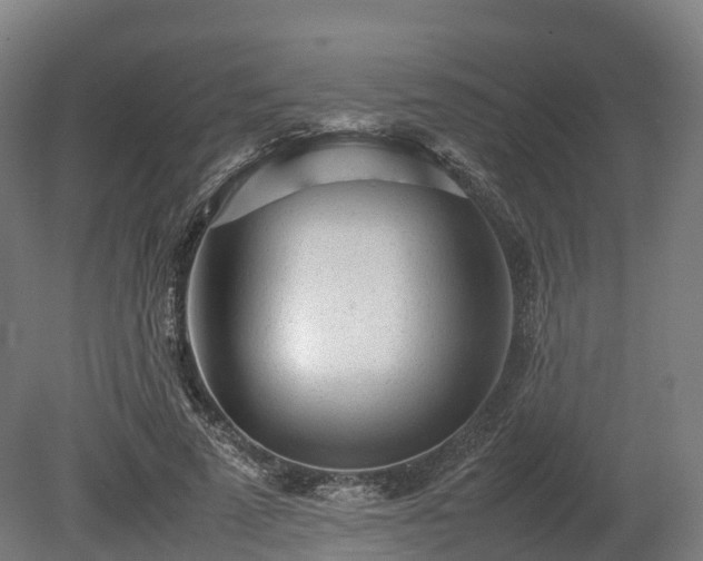 X0000080110689200612151647