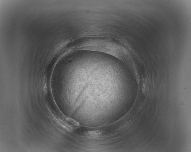 X0000080110692200612151647