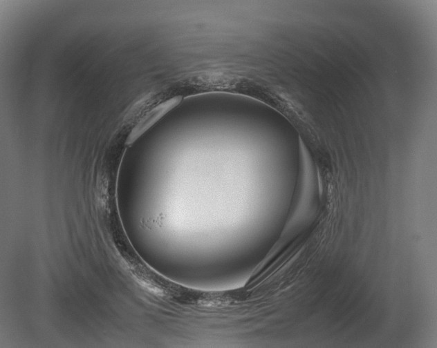 X0000080110693200612151647