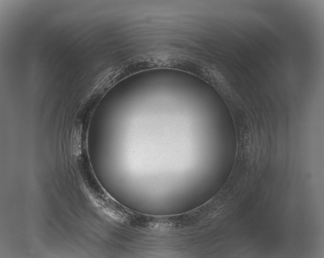 X0000080110694200612151647