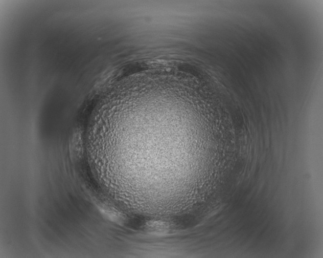 X0000080110699200612151647
