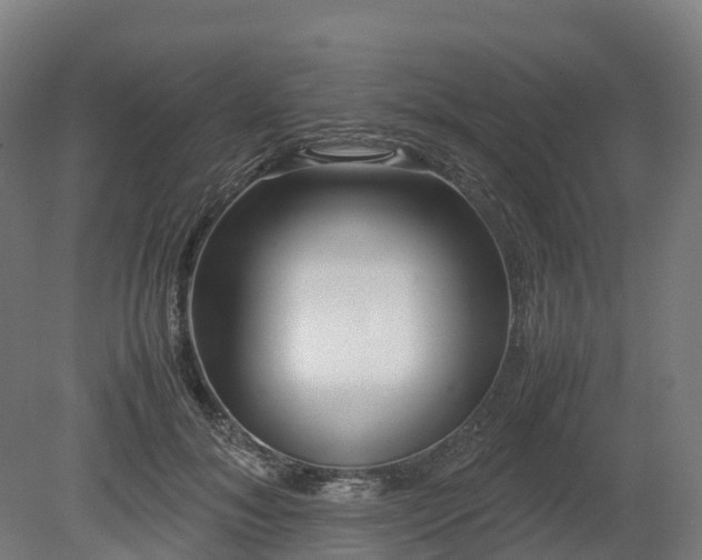 X0000080110700200612151647