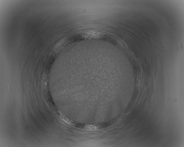 X0000080110701200612151647