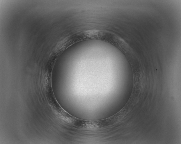 X0000080110702200612151647