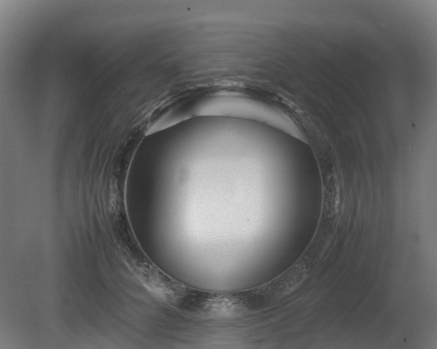X0000080110704200612151647