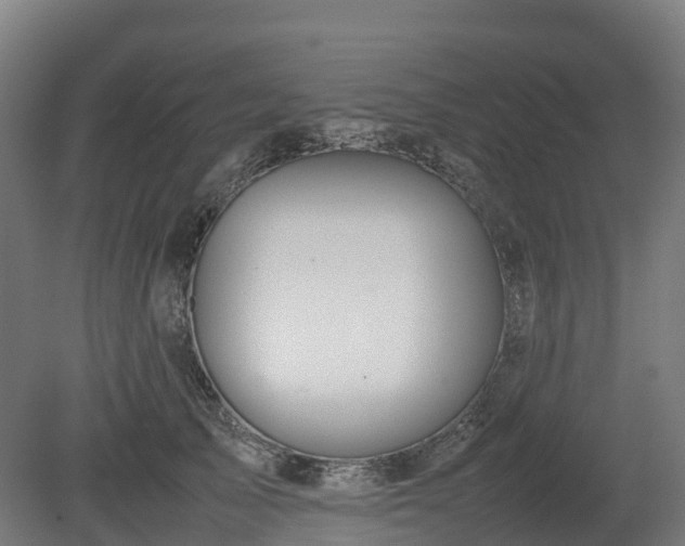 X0000080110705200612151647