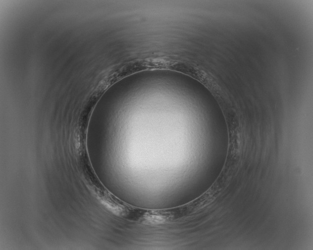 X0000080110706200612151647