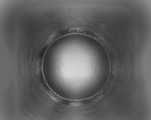 X0000080110708200612151647