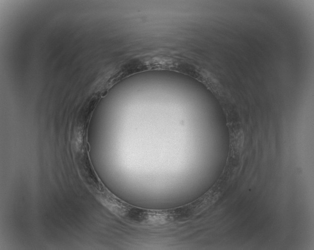 X0000080110709200612151647