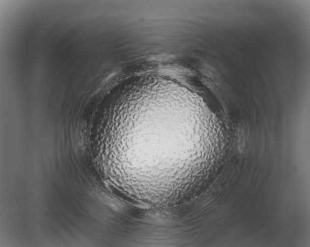 X0000080110712200612151647