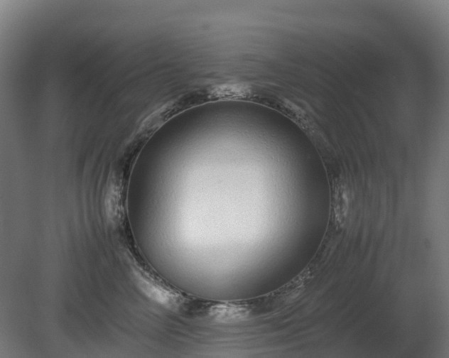 X0000080110714200612151647