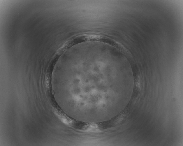 X0000080110715200612151647