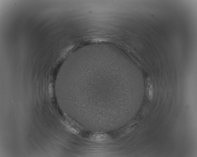 X0000080110716200612151647